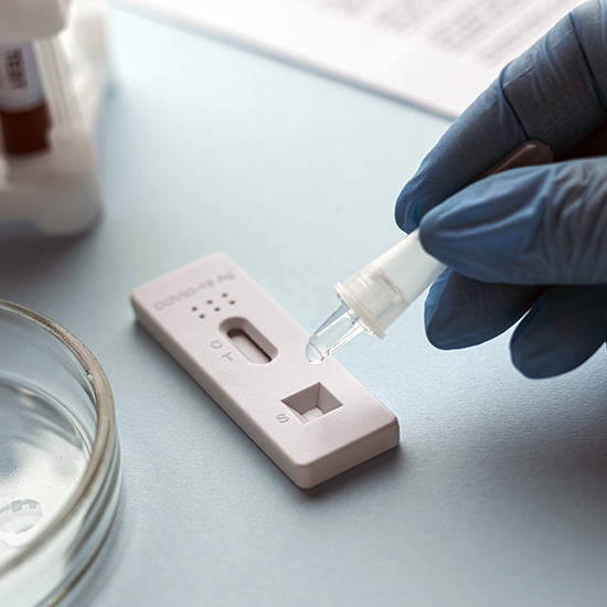 3. Rapid Diagnostic Test
